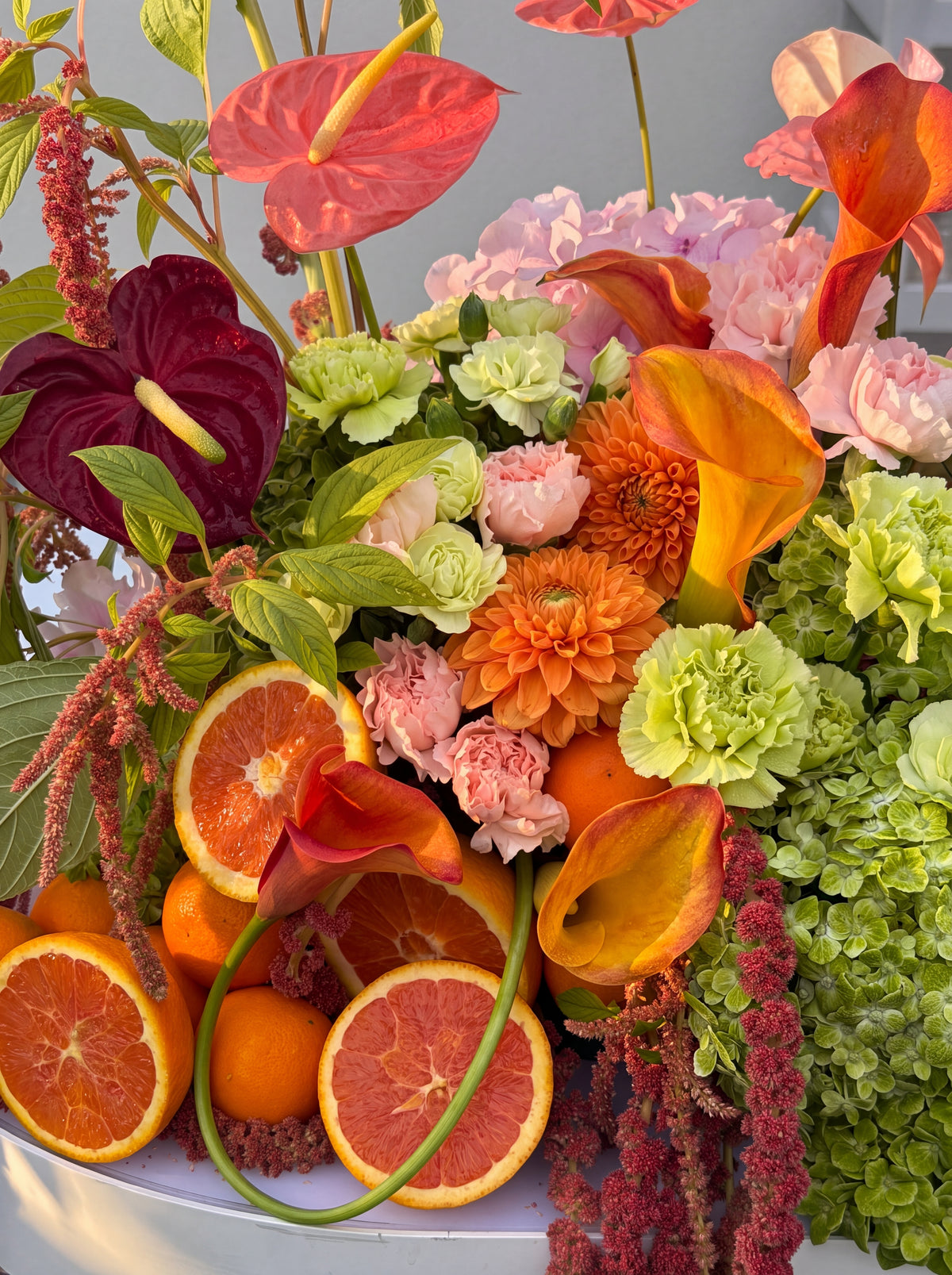 Citrus and stems held close to the frame