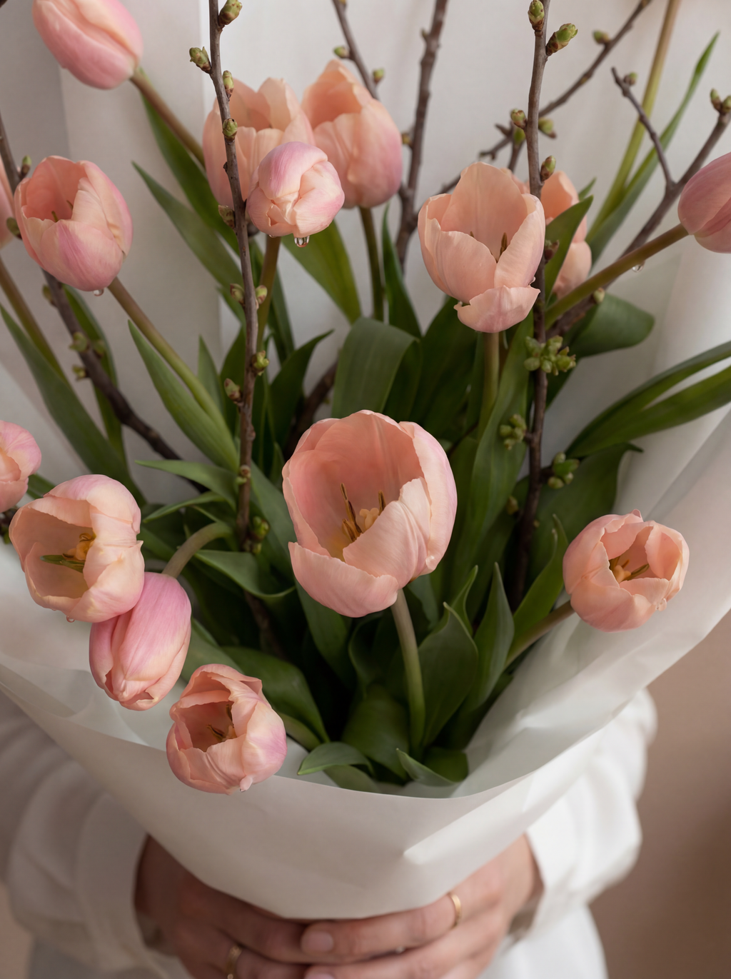 Soft Power Tulips with Forsythia